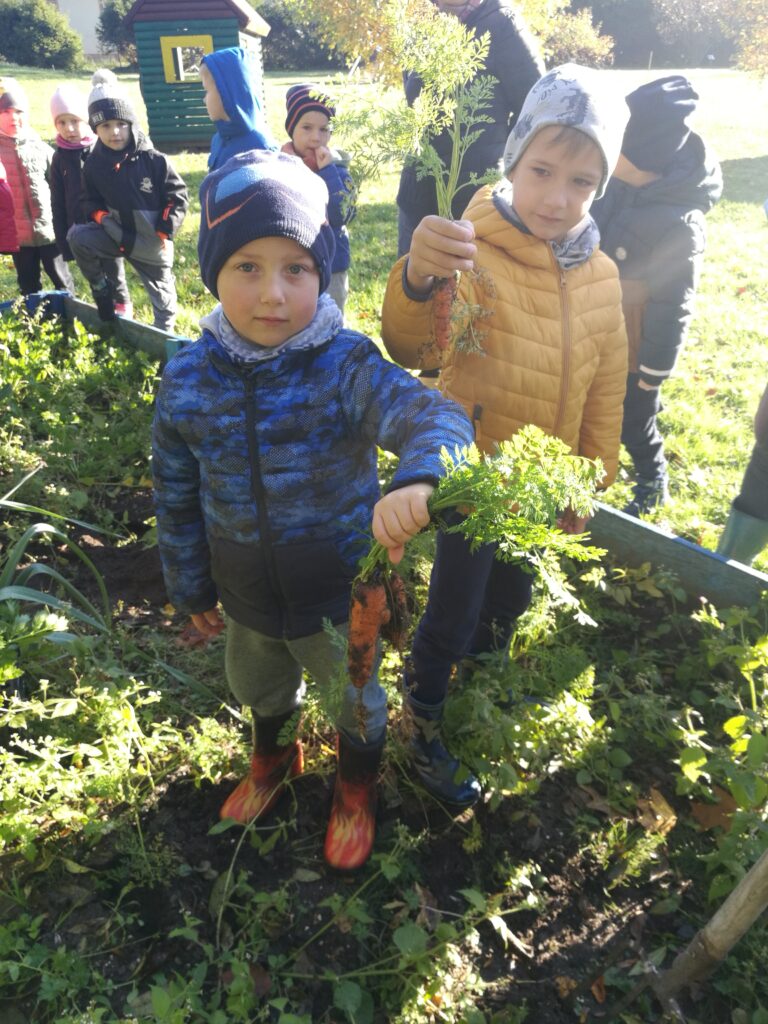 dwóch chłopców trzyma w ręku marchewki