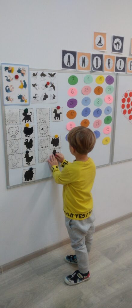 Chłopiec przyczepia na tablicy obrazek- cień wybranego przez siebie zwierzątka