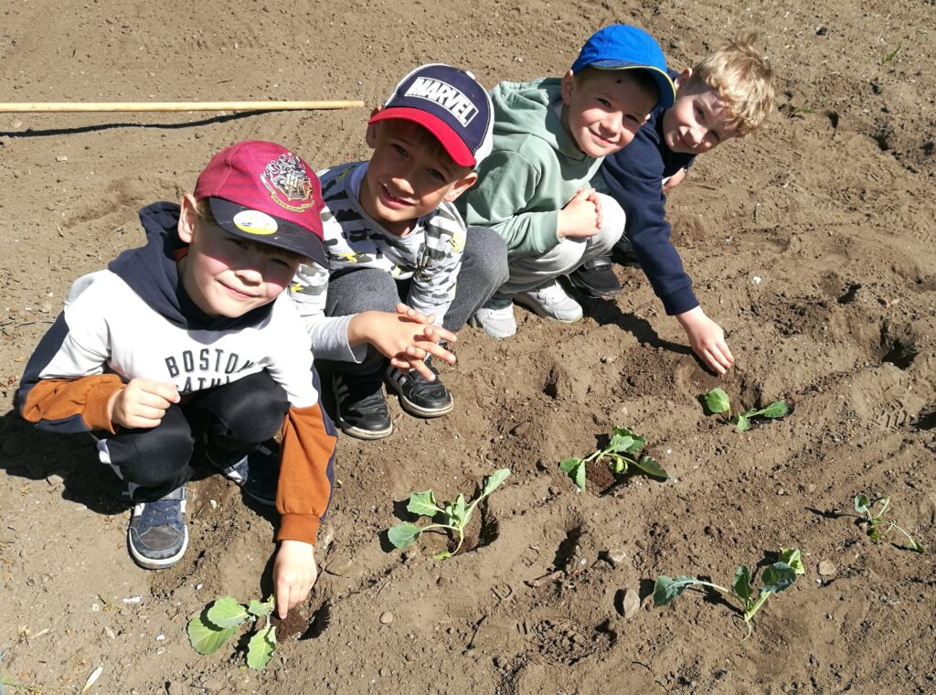 czterech chłopców sadzi rośliny w ogrodzie