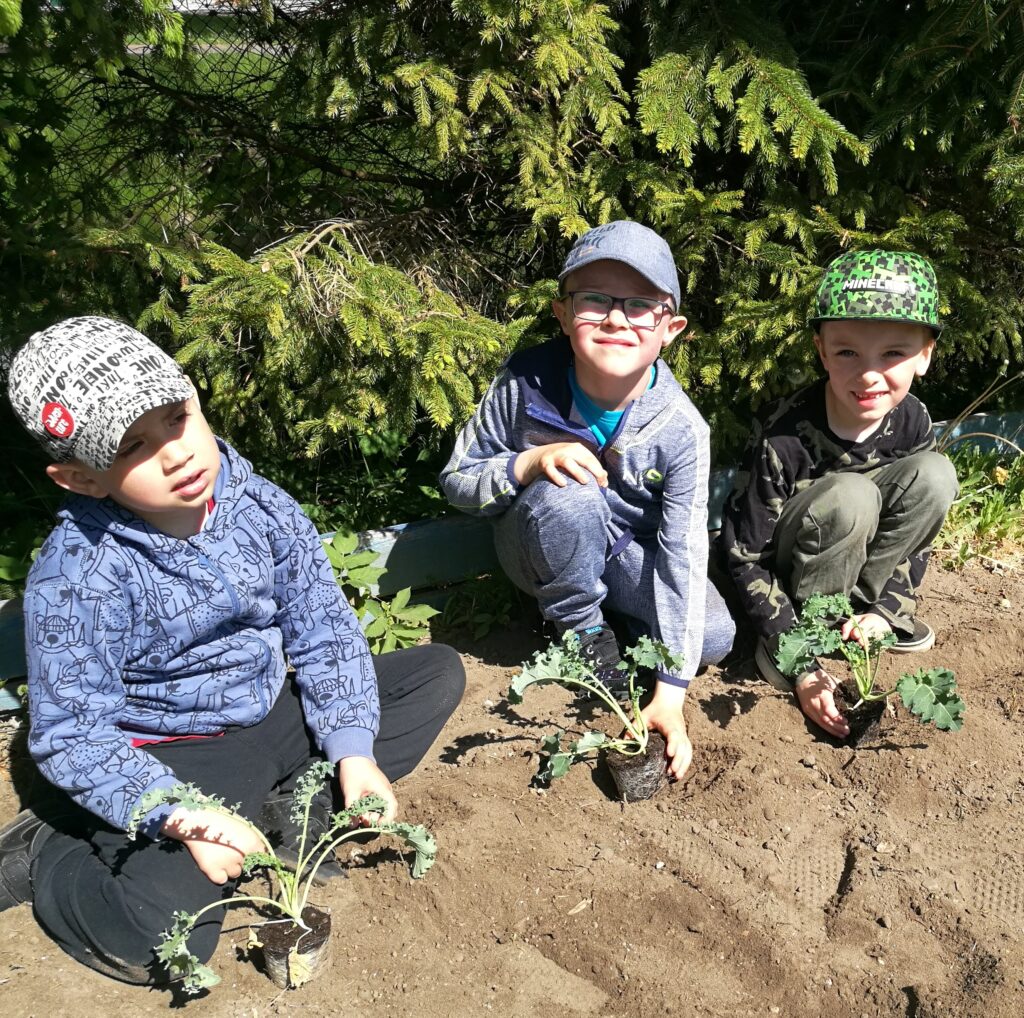 trzech chłopców sadzi rośliny w ogrodzie