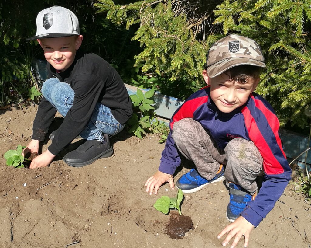 dwóch chłopców sadzi rośliny w ogrodzie