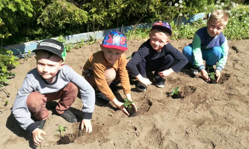 czterech chłopców sadzi rośliny w ogrodzie