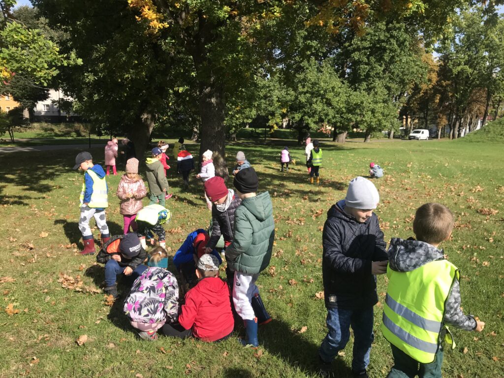 Dzieci z przedszkola w czasie spaceru w parku zbieraja pod drzewami kasztany i żołędzie.