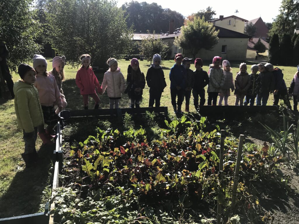 Dzieci z pzredszkola stoją w ogrodzie, przed warzywniakiem , oglądaja to co wyrosło  w ich ogródku.