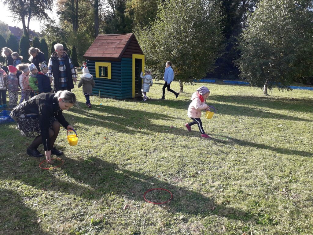 Rodzice i dzieci biorą udział w wyścigu z ziemniakami. Sadzą i zbierają ziemniaki.