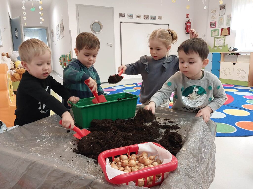 Dzieci z grupy Krasnali sadzą w doniczce cebulkę.