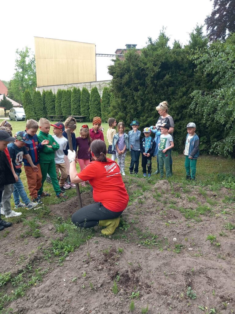 Dzieci w przedszkolnym ogrosdzie planuja założenie ogrdka warzywnego