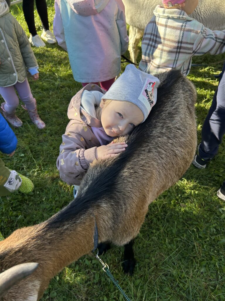 Dziewczynka przytula sie do kózki, ktora przyjechała do ogrodu przedszkolnego. Tak bardzo polubila zwierzaka, na jej buzi widac radość z glaskania i dotykania zwierzaka